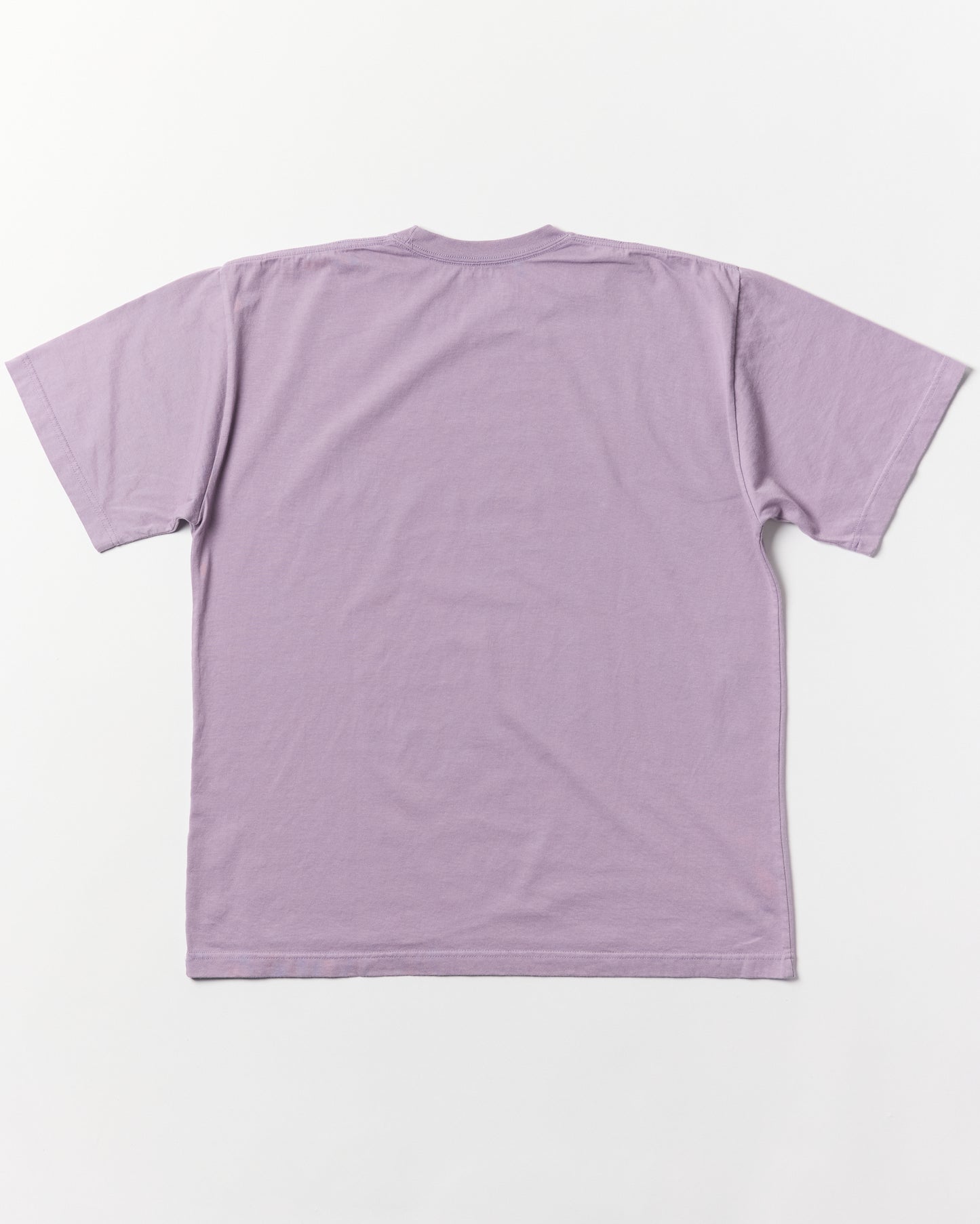 NH x MAGIC HOUSE . TEE SS-2