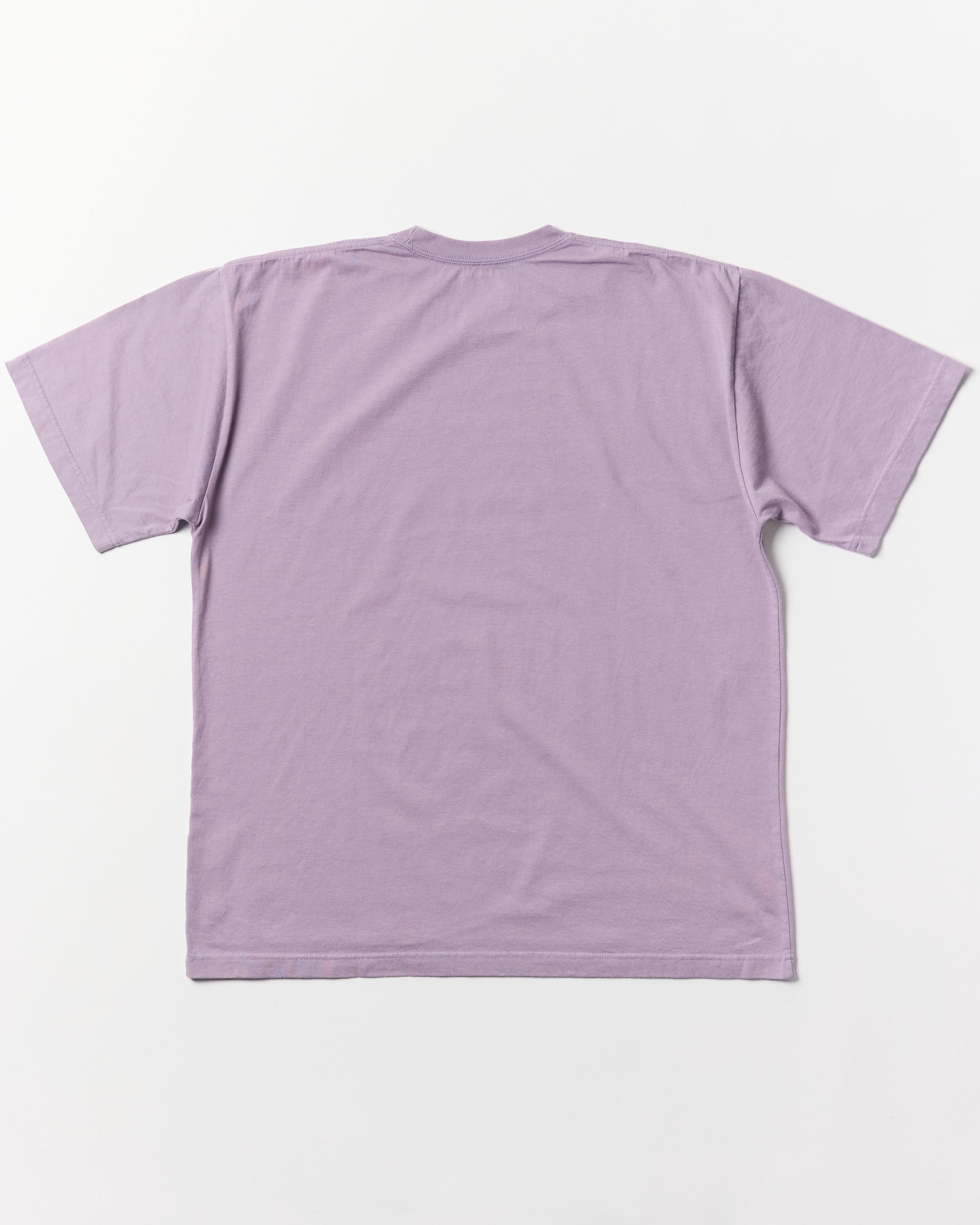 NH x MAGIC HOUSE . TEE SS-2
